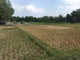 Jual Tanah/Sawah di Bantul