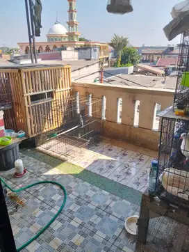 Dijual Ruko 3 lantai di peta barat kalideres