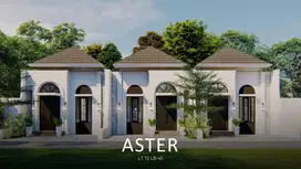 Basatin Cibinong rumah desain classic di kebun raya