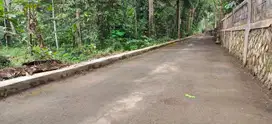 BELI TANAH LUAS 2360M FREE 30 POHON DURIAN COCOK UNTUK PERKEBUNAN
