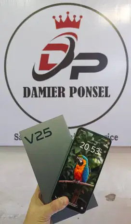 VIVO V25 5G (8/256)