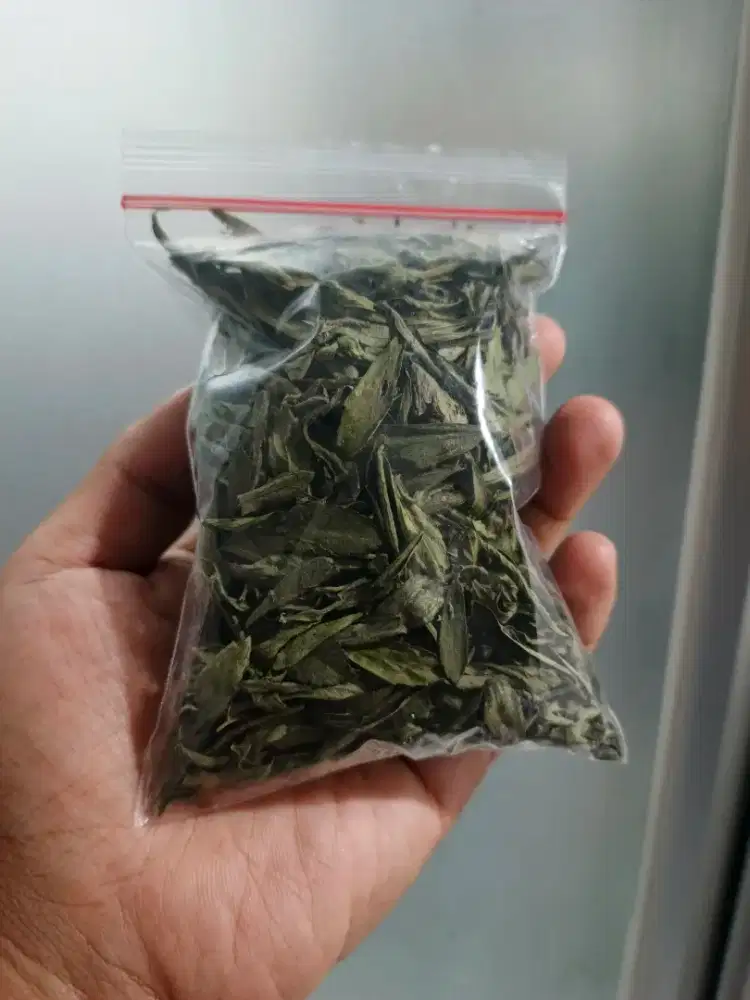 Daun Stevia Kering