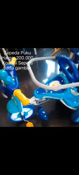 Sepeda Puku Biru