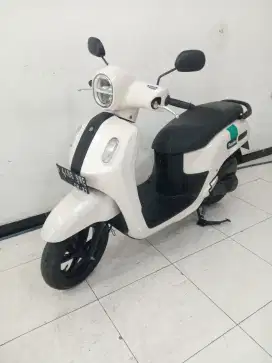 Fazzio Putih 2022