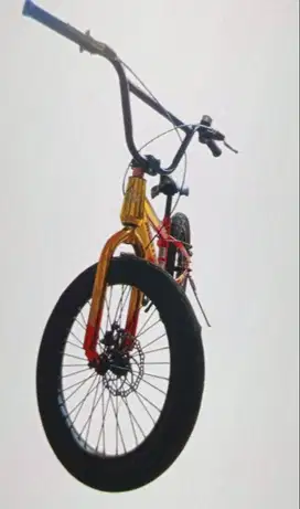 SEPEDA BMX (KONDISI MULUS 100%)