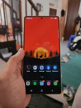 Samsung s25 ultra 256gb