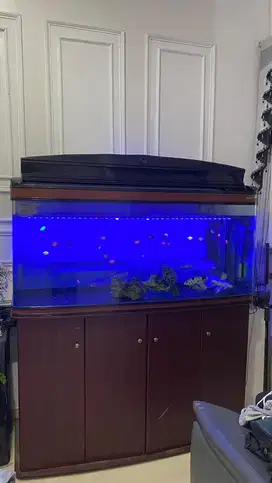 Di jual aquarium merek bouyu