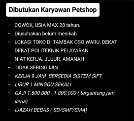 Karyawan Petshop laki laki