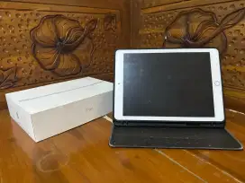 iPad 6th Generation Wifi + Cellular 32Gb