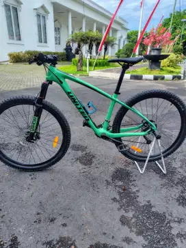 Sepeda Carbon United Manfred