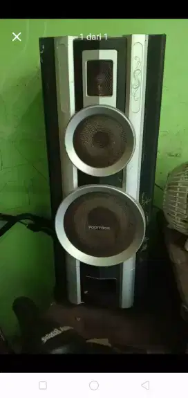 Speaker polytron