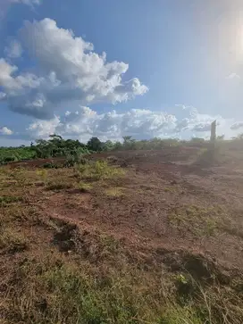 Dijual tanah cocok untuk industri