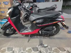 Genio Mulus Low KM