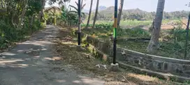 Tanah Sawah Bagus Murah di Temon Kulonprogo TS 006