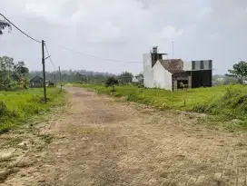 Dijual tanah Kavling Daerah Kebun Teh Wonosari Lawang Jawa Timur