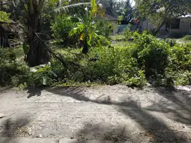 Tanah Pekarangan Murah di Temon Kulonprogo TP 093