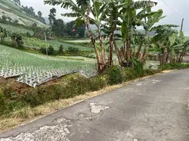 Tanah 480m² View Tanpa Halang Cocok Untuk Villa Kemuning
