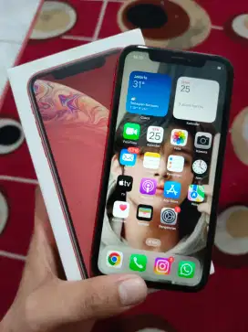 IPHONE XR MERAH LENGKAP