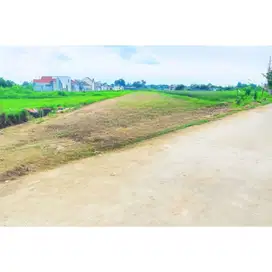 View Sawah, Jual Tanah Di Sidoarum Godean