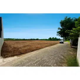 Pinggir Sawah Tanah Bagus Dalam Kota Yogyakarta