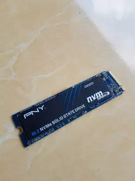 SSD Nvme 256gb PNY gen 3 x4 Sehat