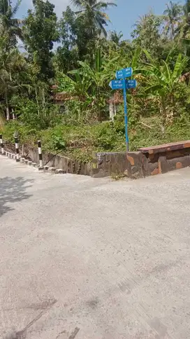 Tanah Pekarangan Bagus Murah di Temon Kulonprogo TP 094