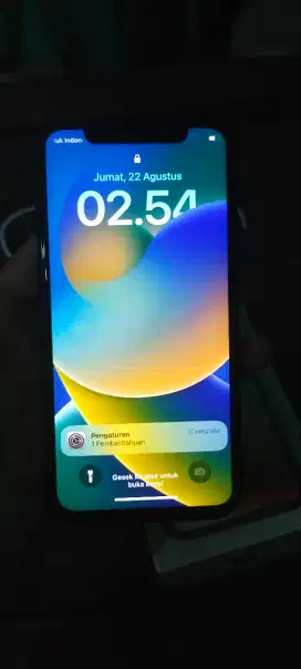 iPhone x 256 inter