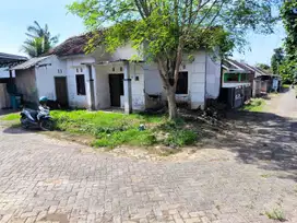 Rumah Dadapan dekat Banyuwangi Park