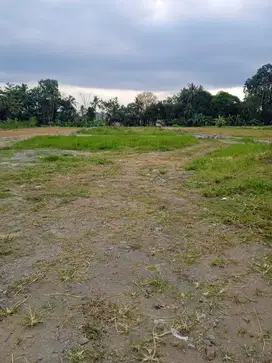 Tanah Kavling Pandanaran; Lokasi Strategis dan Sudah SHM