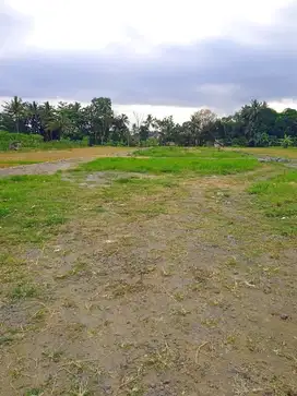 7 menit Kampus UII Yogyakarta, Tanah Murah di Sleman, Legalitas SHM