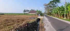 Jual tanah murah pakis sukoanyar nol jalan aspal jalur aktif