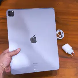 ipad pro m2 256GB 12,9 inch resmi iBox