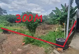 Dijual Tanah Tanjung Barangan Luas 300m dekat kantor lurah