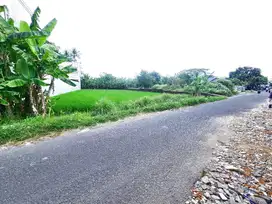 Jalan Beringin Raya,  Tanah Cantik 2 Menit Stadion Maguwoharjo Sleman