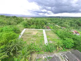 Dekat Pemda Wates, Tanah Jogja Legalitas SHM Pekarangan