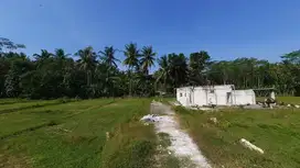 Nanggulan Kulonprogo - Tanah Murah Jogja Dekat Terminal Sentolo