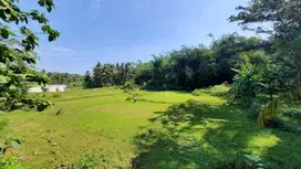 Dekat SMA N 1 Sentolo, Kavling SHM Siap Bangun