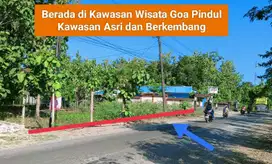 Jual tanah murah mangku jalan raya di Bejiharjo Gunung Kidul strategis