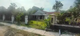 RUMAH DI KELURAHAN WARU KULON, PUCUK LAMONGAN