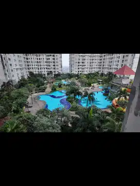 Jual Cepat Unit Apartemen Season City 2BR Furnish View Pool & Taman