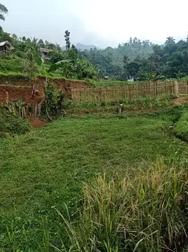 dijual sawah produktif di cicalengka dekat curug cinulang