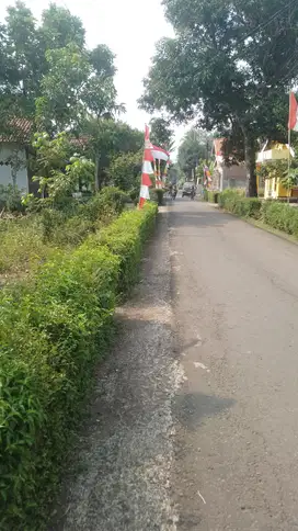 DIJUAL TANAH PEKARANGAN STRATEGIS  DISUCEN PURWOREJO