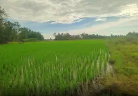 Dijual Tanah sekitar Jalan Poros Kariango, Maros
