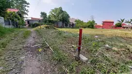 Tanah Ciomas Dalam Komplek Siap Bangun, SHM Ready Balik Nama