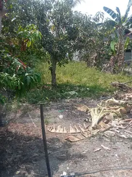 Jual Tanah Kebun Di Cikarang Bekasi Jawa Barat