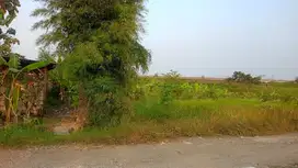 Dijual Cepat Tanah Di Driyorejo