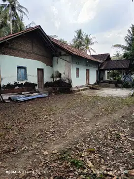 Tanah Pekarangan Bonus Rumah di Temon Kulonprogo TP 079