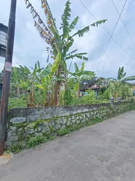Tanah Asri Di jl. Kaliurang km 15 Dekat Kampus UII, Kopi Rolas
