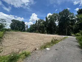 Tanah Sleman Jogja Area Kampus, Prospek Investasi Kos
