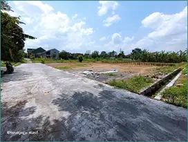 3 Menit Sekolah Budi Mulia Tajem, Tanah Wedomartani Jogja